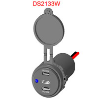 Dual Port USB Socket - 12-24V - DS2133W - ASM